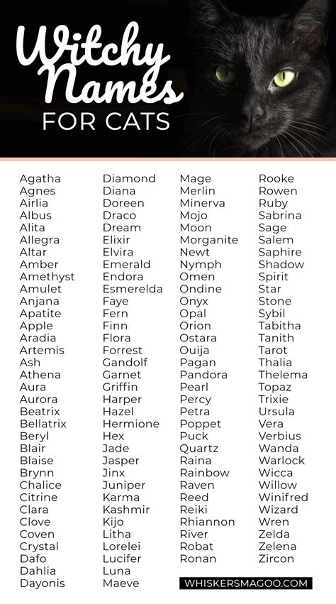 witchy names for cats|witchy pet names female.